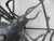 Black Iron Wall Decoration Spider, 1950s For Sale - Image 12 of 18