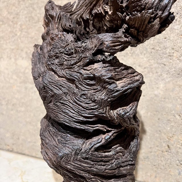 1970s Modern Art Wood Root Sculpture Organic Form For Sale In San Diego - Image 6 of 10