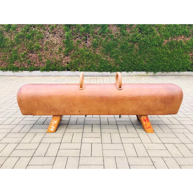 Leather Horse,1930s For Sale - Image 11 of 11