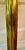 Pair of Vintage Tall Brass Candelsticks For Sale - Image 4 of 8