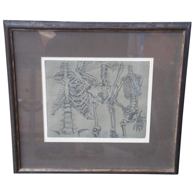 2009 Dean Pingrey Brown Bones Human Anatomy Skeleton Etching For Sale - Image 13 of 13