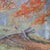 Textile Carl Graf Autumn Landscape Oil Painting on Canvas Board Framed, Signed 1925 For Sale - Image 7 of 7