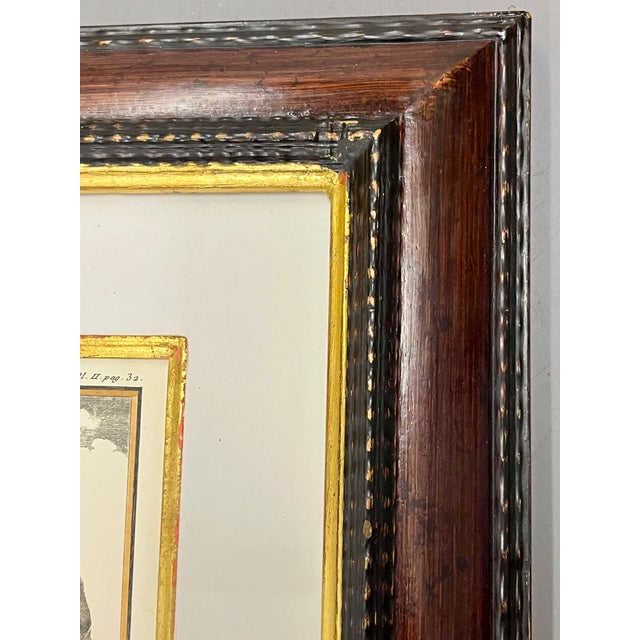 Vintage Set 4 African Animal Engravings Custom Framed For Sale - Image 11 of 12