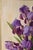 Purple Still Life Painting by French / American Artist Elizabeth Rouviere (1908-1994) For Sale - Image 8 of 12