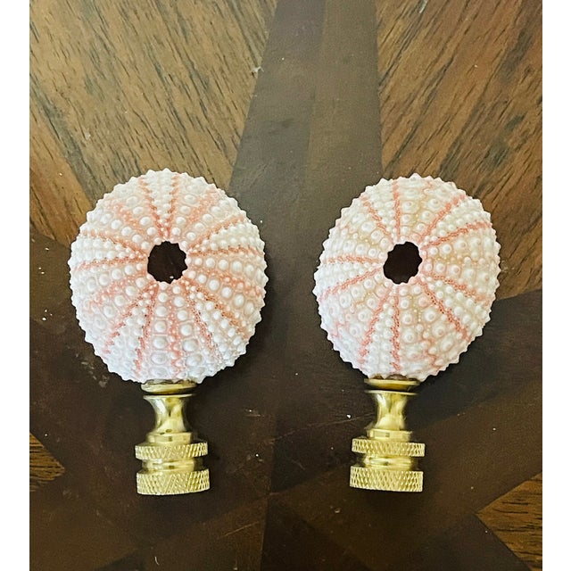 Coastal 1970s Gorgeous Pink Urchins Lamp Finials Pair For Sale - Image 3 of 4
