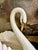 A striking oversized ceramic swan jardinière, beautifully modeled with an elegantly arched neck, finely detailed plumage,...