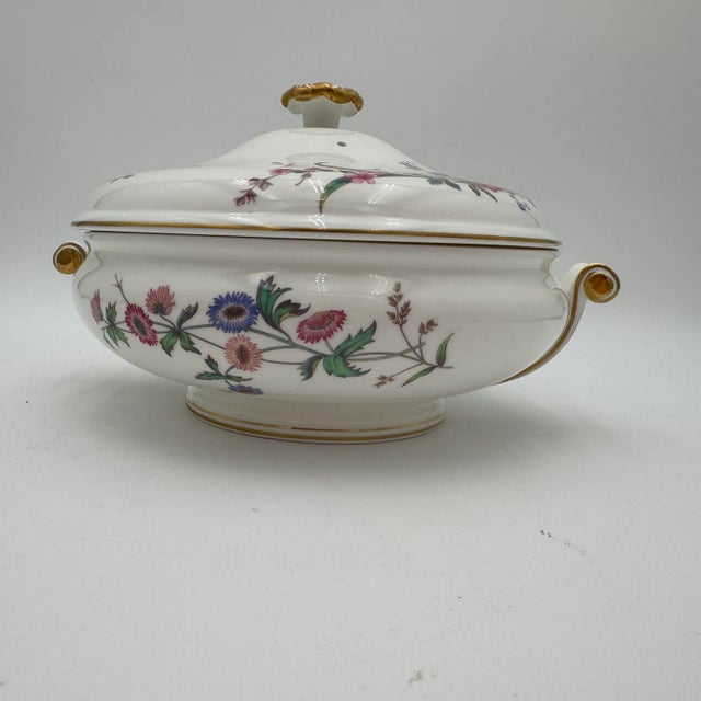 Wedgwoods Devon Sprays is a graceful dinnerware pattern accented with blue & pink flowers, long stems, and leaves. With...