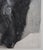 Auguste Rodin (1840-1917) (after) Shadow, 1897 Photogravure reworked using drypoint (Goupil Workshop) and enhanced with...