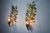 Golden Floral Sconces by Ferro Arte, Spain, 1980s, Set of 2 For Sale - Image 4 of 8