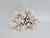 This exceptionally large natural bright white Brownstem coral specimen with an irregular shape has a cut and polished base...