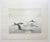1980s 1982 Orca Serigraph For Sale - Image 5 of 6