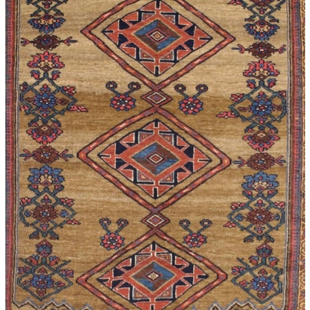 Late 19th Century Antique Kurdish Bidjar Rug 4'1" X 5’11" For Sale - Image 5 of 9