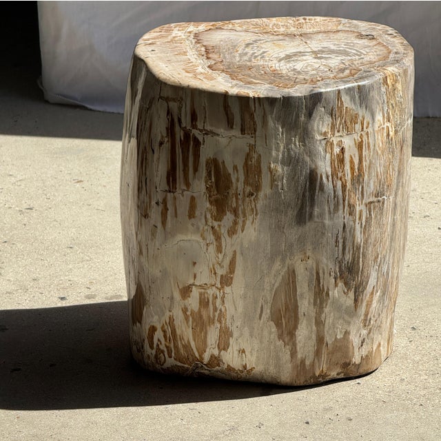 Large Side Table in White and Grey Petrified Wood For Sale - Image 10 of 18