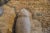 Antique Bronze Age African Stone Primitive Tool For Sale In New York - Image 6 of 7