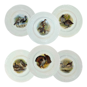 Vintage Theodore Haviland Porcelain Game Bird Plates by Edwin Megargee - Set of Six