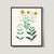 English Botanical Set of Reproduction Prints With Yellow Flowers For Sale In Los Angeles - Image 6 of 7