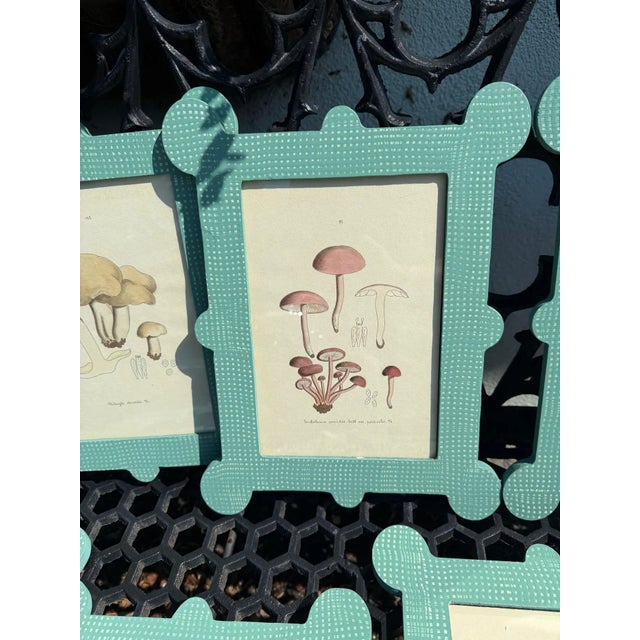Late 19th- early 20th century mushroom watercolors presented in our hand painted spotswood faux burlap frames by our...