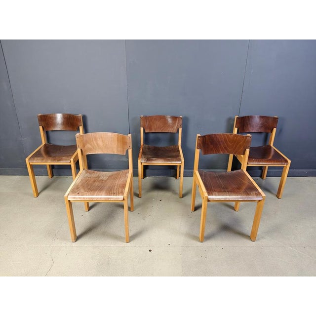 Mid-Century Brown and Birch Stacking Chairs in the style of Sven Markelius, 1980, Set of 5 For Sale - Image 11 of 12