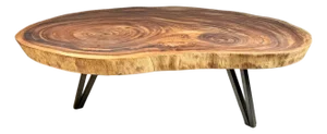 Natural Edge Vintage Slab Coffee Table