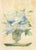 20th Century School, Bouquet of Flowers, Watercolor and Gouache on Paper, unsigned, painted and giltwood frame. Image:...
