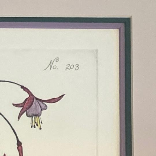 Printmaking Materials Dan Mitra “Evening Primrose” Hand-Colored Signed Etching (Limited Edition 84/950, Framed, Pencil Signed, Vintage) For Sale - Image 7 of 18