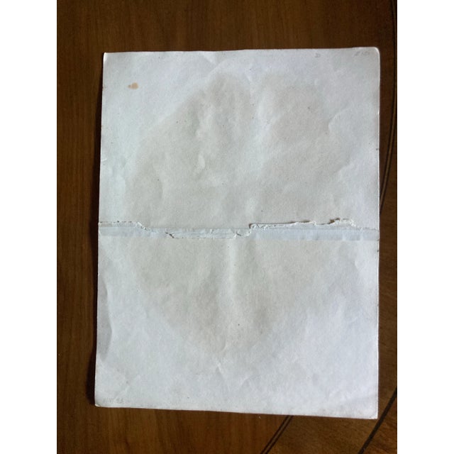 Authentic 19th Century Color Print of an Alocasia Jennings For Sale - Image 4 of 5