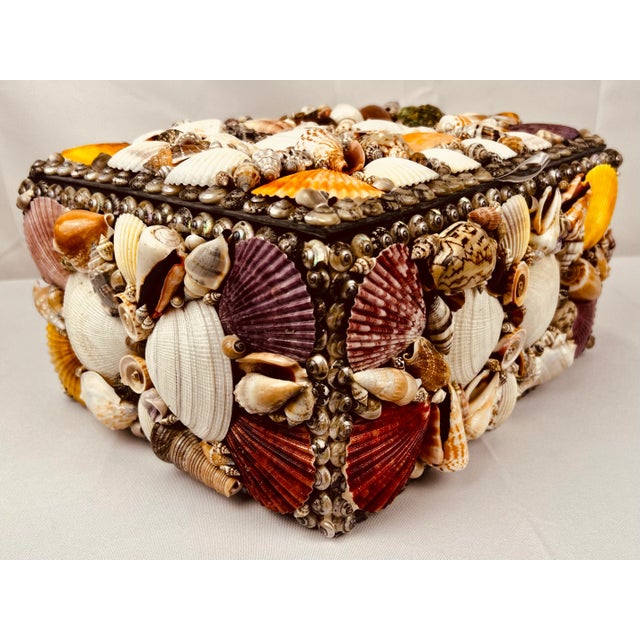 Off-white Large Multi Colored Natural Sea Shell Covered Box-Hinged For Sale - Image 8 of 10