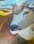 2020s “Buck Beauty” a Deer Painting by LWren Walraven For Sale - Image 5 of 12