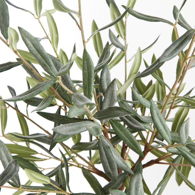 Realism Olive Tree Drop-In 26" For Sale - Image 3 of 5