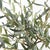 Realism Olive Tree Drop-In 26" For Sale - Image 3 of 5