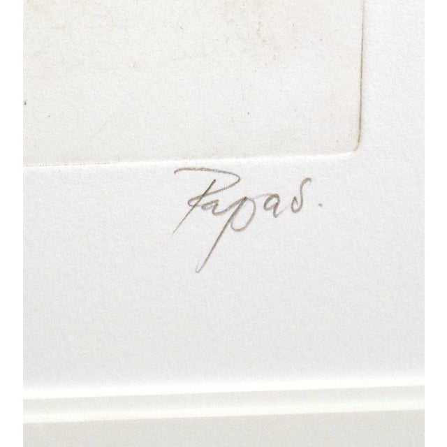 William Papas "Bedouin Woman" Signed & Numbered Artwork Etching 1980s For Sale In Denver - Image 6 of 6