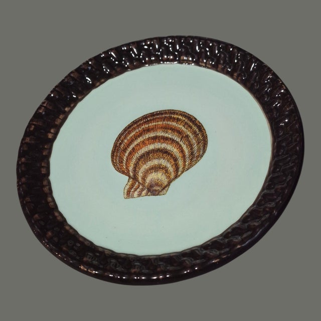 Contemporary Late 20th Century Coastal Small Sea Shell Mud-Pie Fiji Tidbit Dishes 5'' Diameter - Set of 4 For Sale - Image 3 of 9