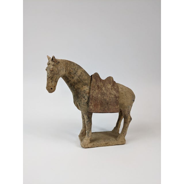 Tang Horse With Removable Saddle For Sale In San Francisco - Image 6 of 6