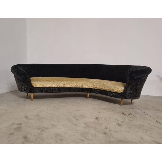 Curved sofa by Federico Munari. Elegant curved sofa from the 50s. Ideal for a position in the center of the room so you...