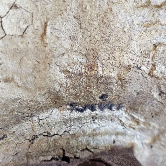 Mid Century Brass Plated Iron Chenets- a Pair For Sale In New York - Image 6 of 7