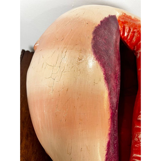 Large Vintage Mexican Hand Painted Ceramic Shell For Sale - Image 10 of 12