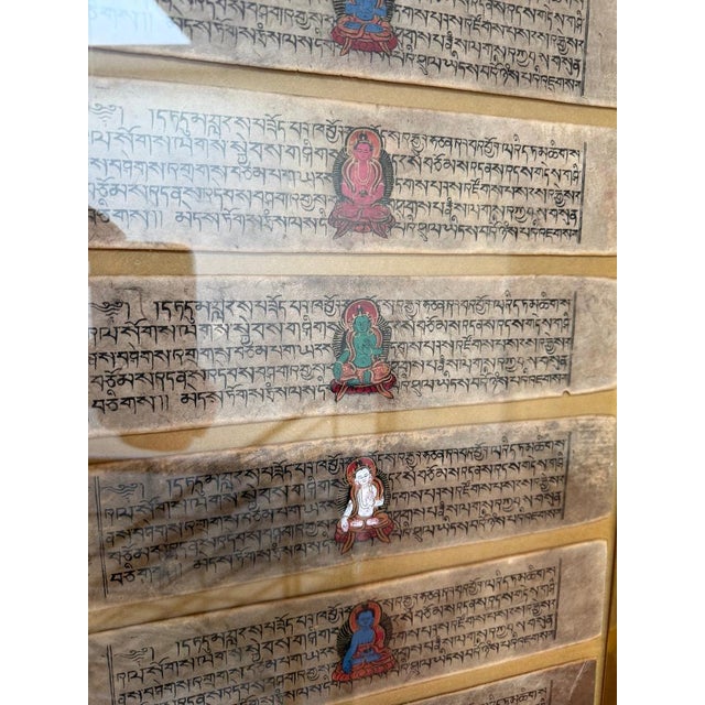 Asian Framed Antique Burmese Buddhist Manuscript / Illuminated Parchment Artwork For Sale - Image 3 of 3