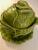 1960s 1960s Majolica Lidded Cabbage Tureen With Plate by Holland Mold - Set of 3 For Sale - Image 5 of 9