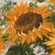 Realism Framed Signed Sunflower Spray Oil Painting on Canvas For Sale - Image 3 of 13