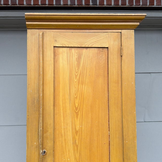 A Very Fine and Rare Lancaster County, Pa Mustard Yellow Grain Painted 1 Door Chimney Cupboard, Circa 1880's For Sale - Image 9 of 12