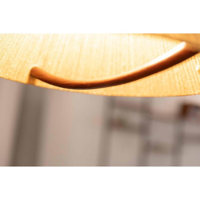 Hanging Lamp from Temde Leuchten For Sale - Image 11 of 18