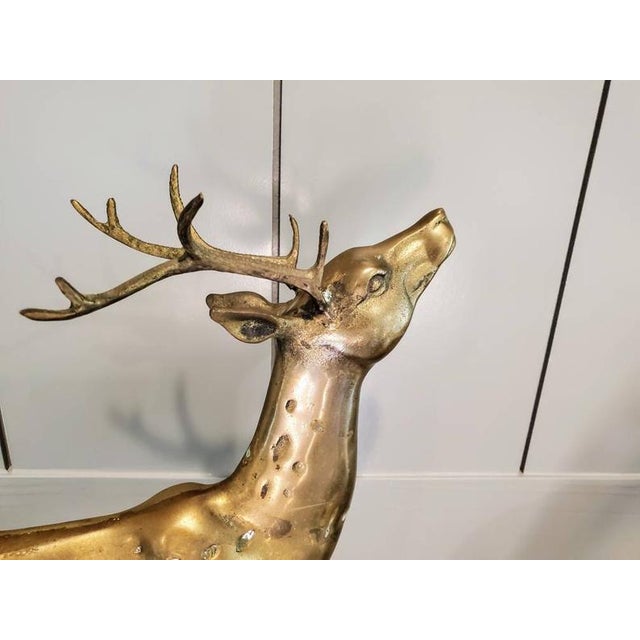 Large Hollywood Regency Solid Brass Deer Sculptures a Pair Chairish