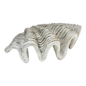 Vintage Plaster and Resin Giant Tridacna Clam Shell Centerpiece/Vide Poche