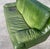 Green Postmodern Patinated Green Buffalo Leather Sofa by Roche Bobois For Sale - Image 8 of 10