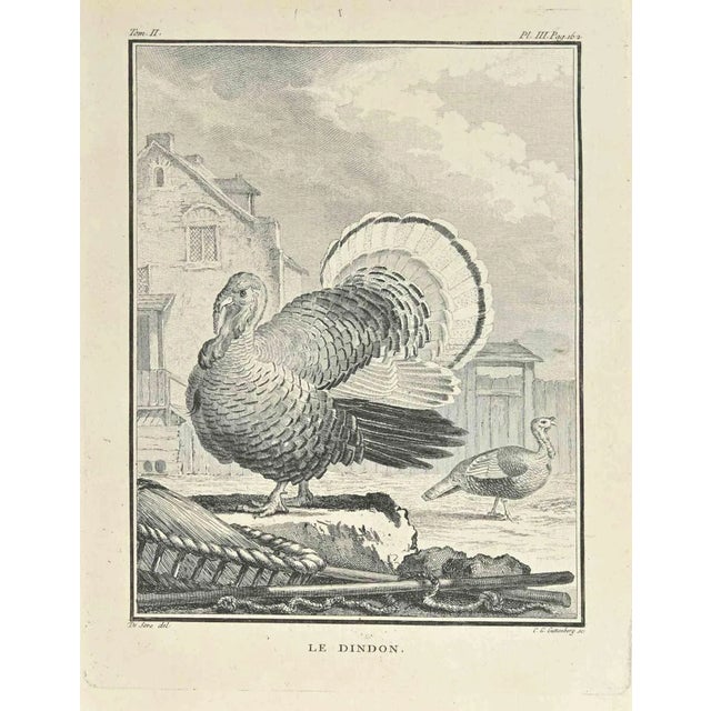 Carl Guttenberg, Le Dindon, Etching, 1771 For Sale