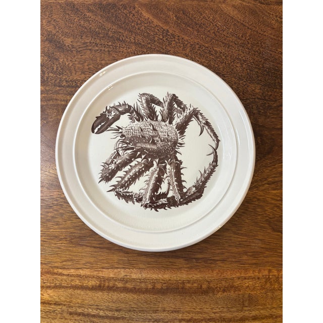 Vintage Portmeirion Kingdom of the Sea Shellfish Plates - Set of 4 For Sale - Image 4 of 10
