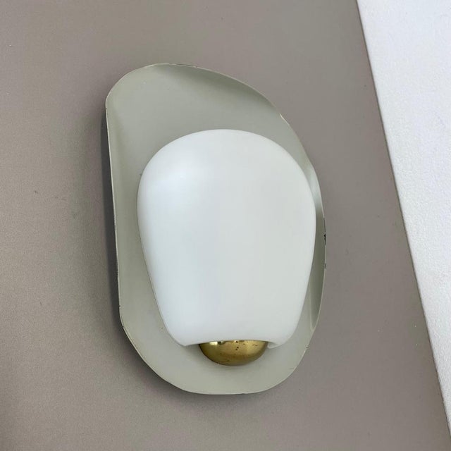 Shell Wall Light by Wilhelm Wagenfeld for Peill & Putzler, Germany, 1950s For Sale - Image 6 of 18