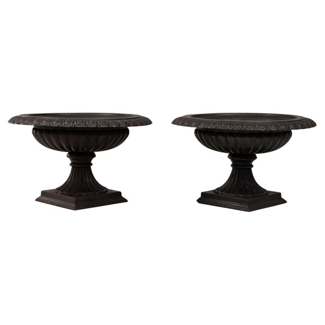 1900s French Cast Iron Tazza Urn Planters - A Pair For Sale - Image 9 of 18
