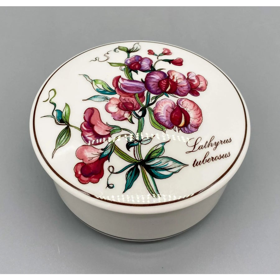 Contemporary Villeroy and Boch Botanica Lathyrus Tuberosus Flowers