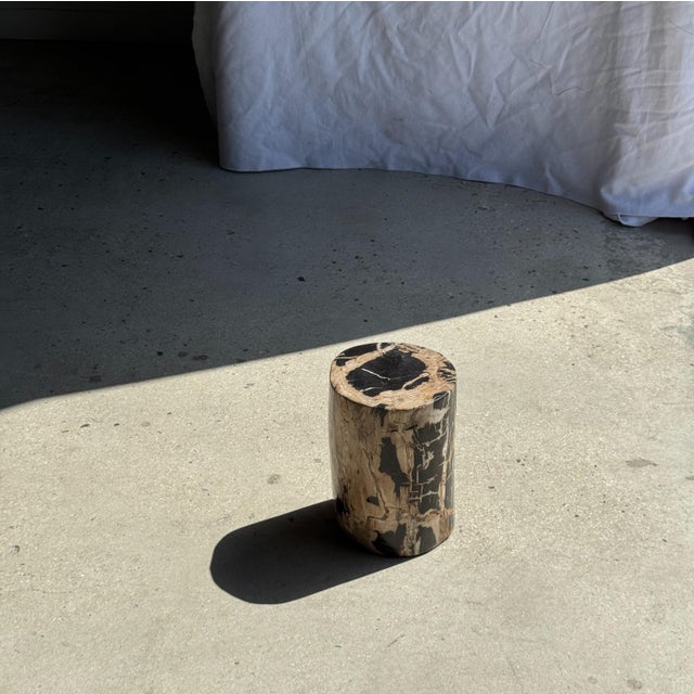 Small Side Table in Petrified Wood, Black Heartwood, Bark with Black and Beige Streaks, 1980s For Sale - Image 13 of 18